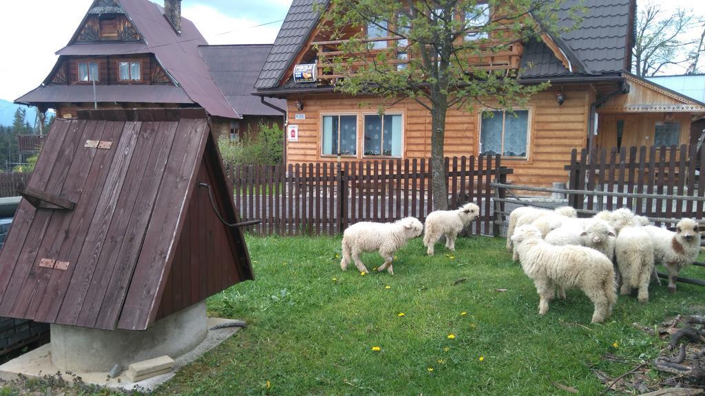 Pokoje U Sarnowskich Kościelisko Eksteriør billede